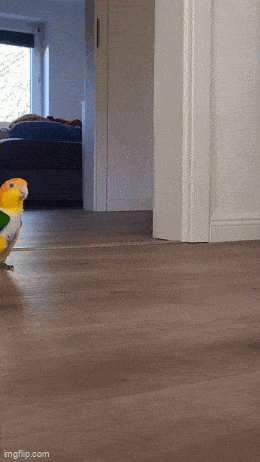 Acid GIFs, June 7 (25 gifs) Acid GIFs, June 7 (25 gifs)