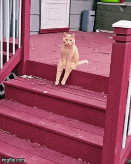 Acid GIFs, June 7 (25 gifs) Acid GIFs, June 7 (25 gifs)