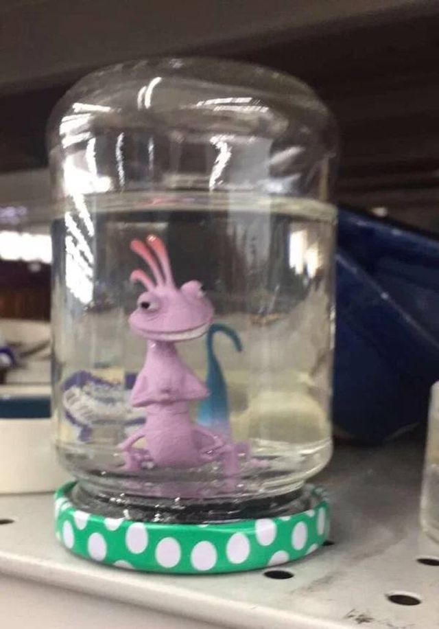 Odd Finds In Thrift Shops (30 pics)