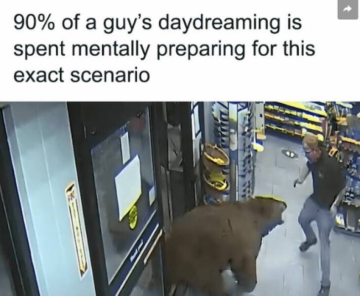 Truthful Memes (19 pics)
