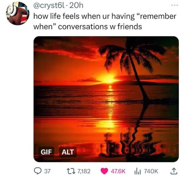 Truthful Memes (19 pics)