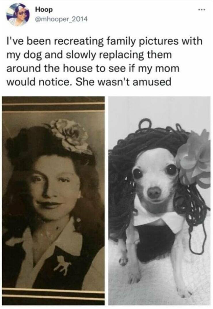 Daily Pictures. Part 2 (58 pics)
