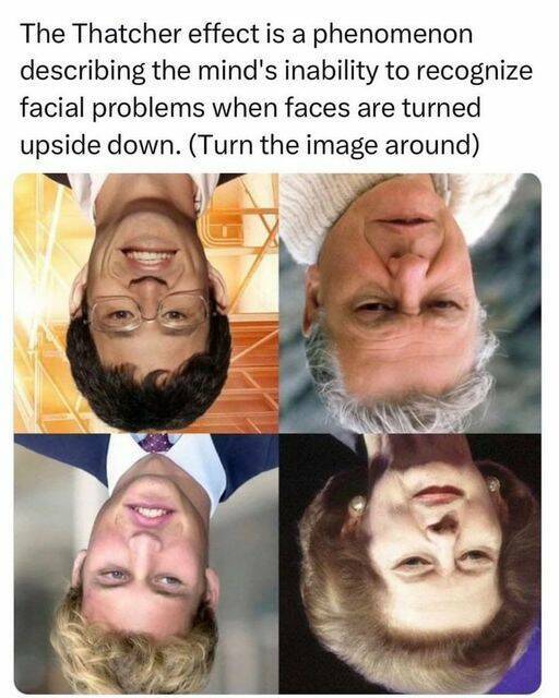 Daily Pictures. Part 1 (59 pics)