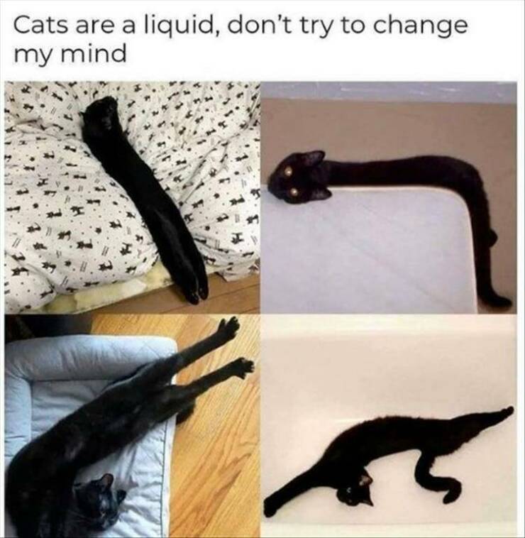 Daily Pictures. Part 2 (58 pics)
