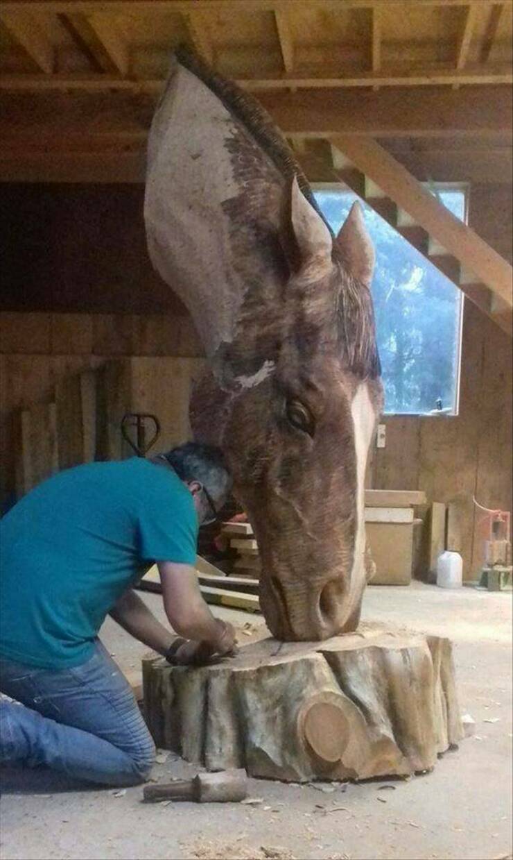 Daily Pictures. Part 2 (58 pics)