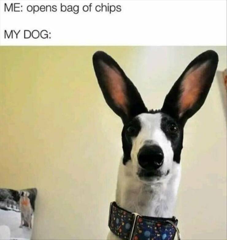 Daily Pictures. Part 2 (58 pics)