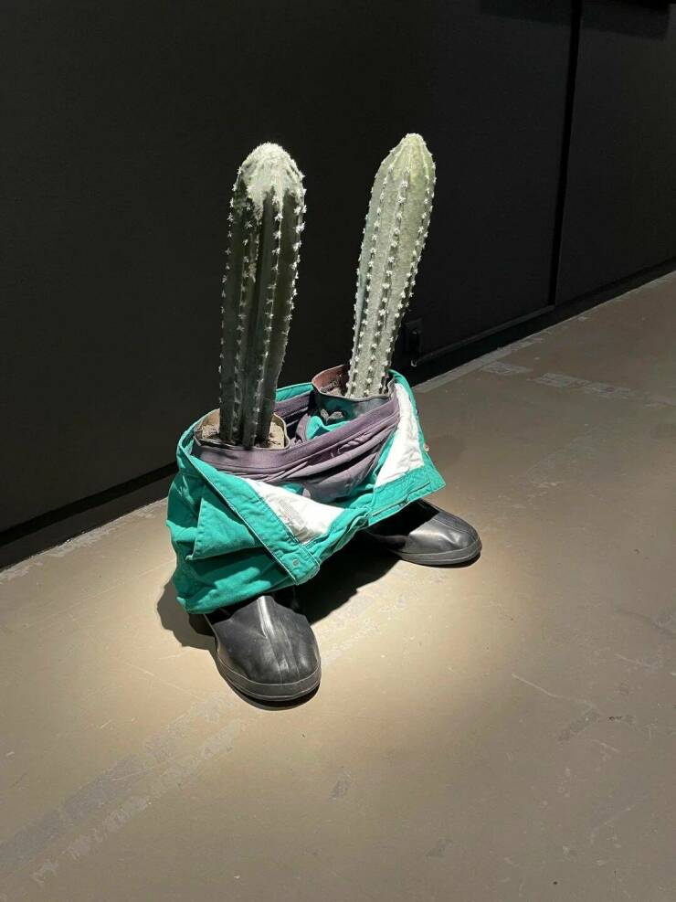 Daily Pictures. Part 1 (57 pics)