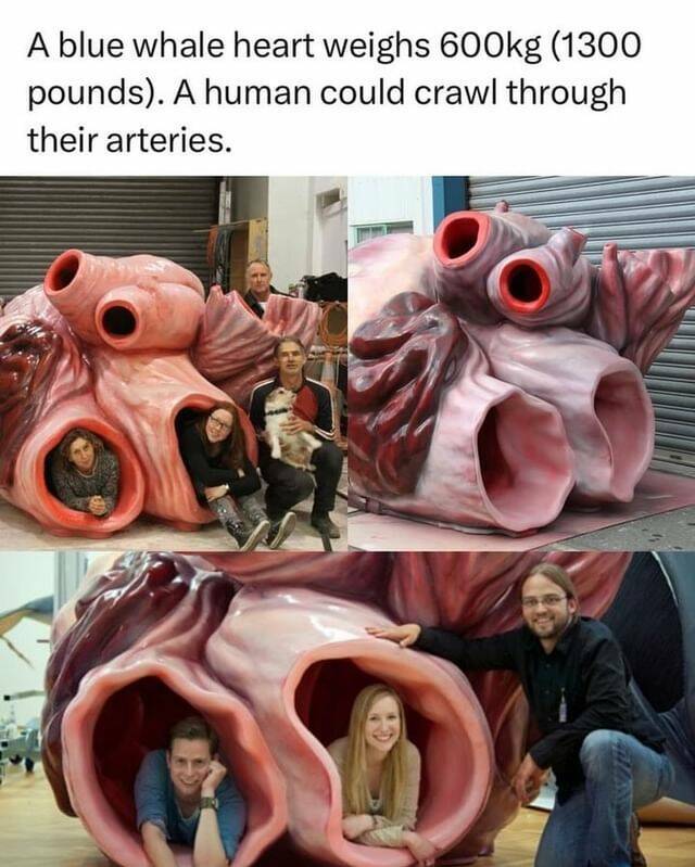 Daily Pictures. Part 2 (55 pics)