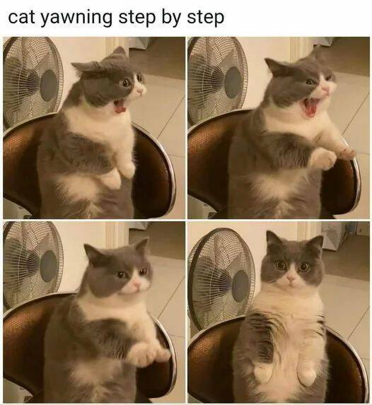 Daily Pictures. Part 1 (57 pics)