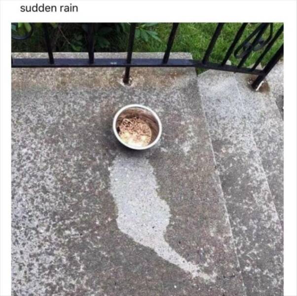 Daily Pictures. Part 2 (55 pics)