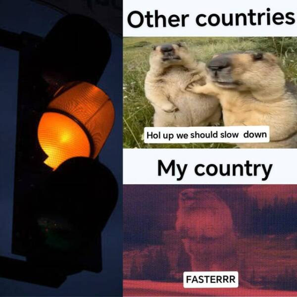 Daily Pictures. Part 2 (55 pics)