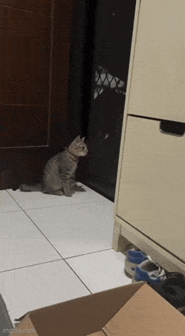 Acid GIFs, June 11 (25 gifs) Acid GIFs, June 11 (25 gifs)
