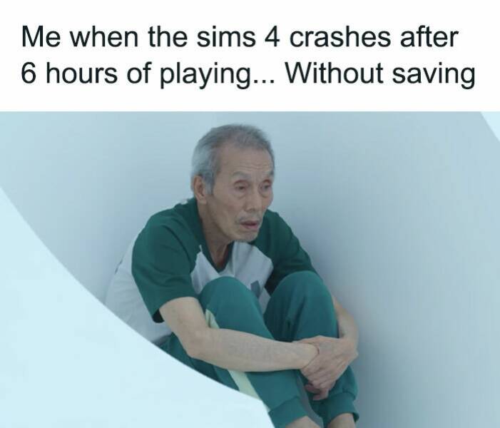 Memes For ''The Sims'' Fans (19 pics)