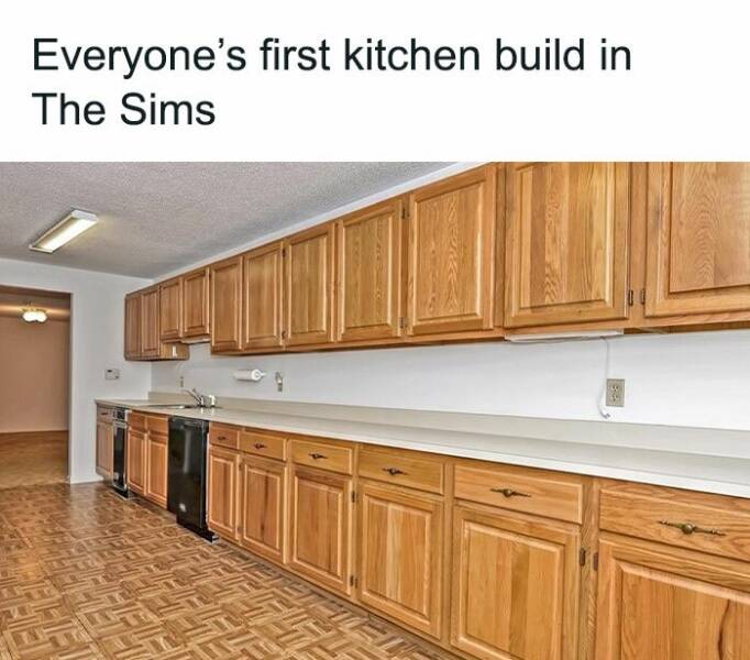 Memes For ''The Sims'' Fans (19 pics)