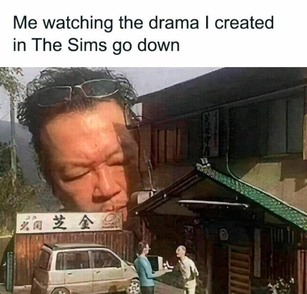 Memes For ''The Sims'' Fans (19 pics)