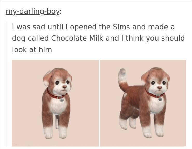 Memes For ''The Sims'' Fans (19 pics)