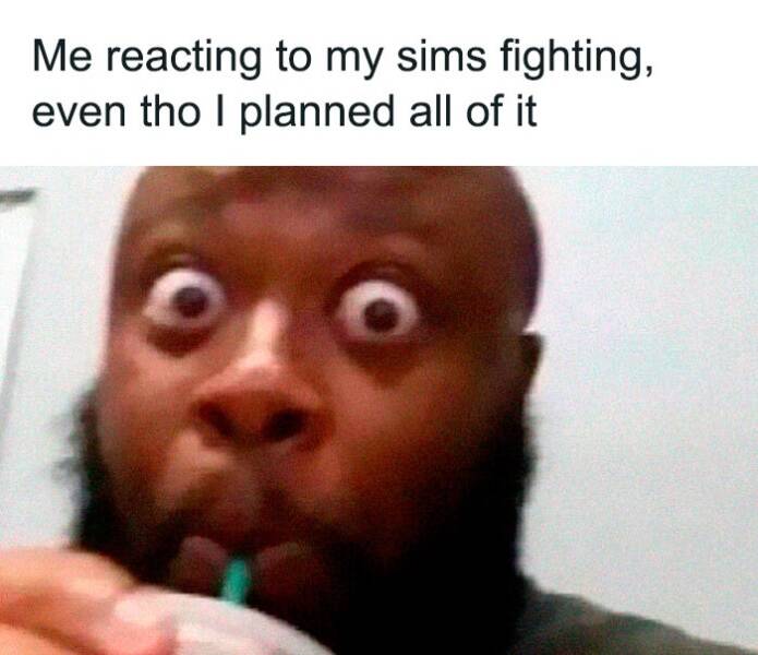 Memes For ''The Sims'' Fans (19 pics)