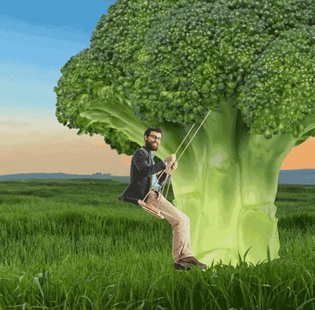 Random Facts (15 gifs)