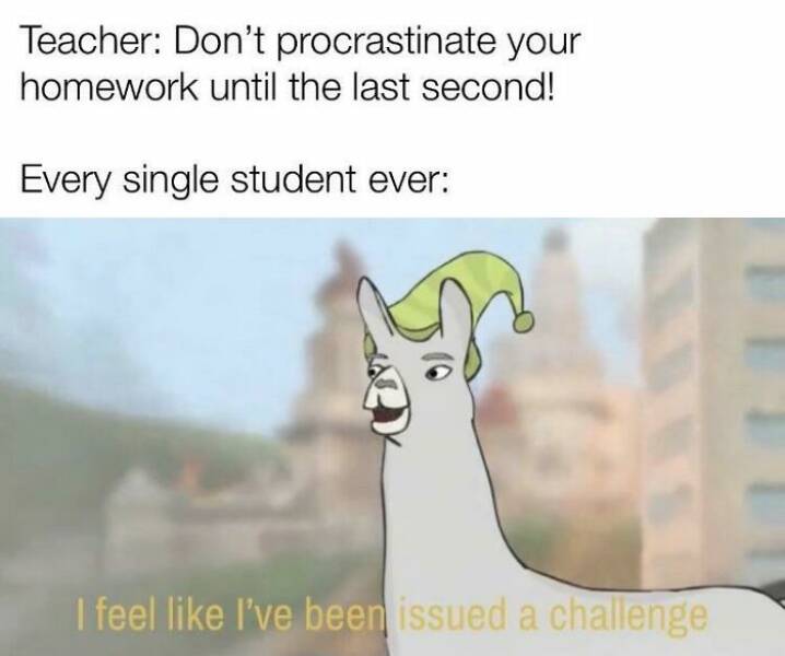 Memes About Procrastination (21 pics)