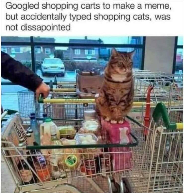 Daily Pictures. Part 2 (56 pics)