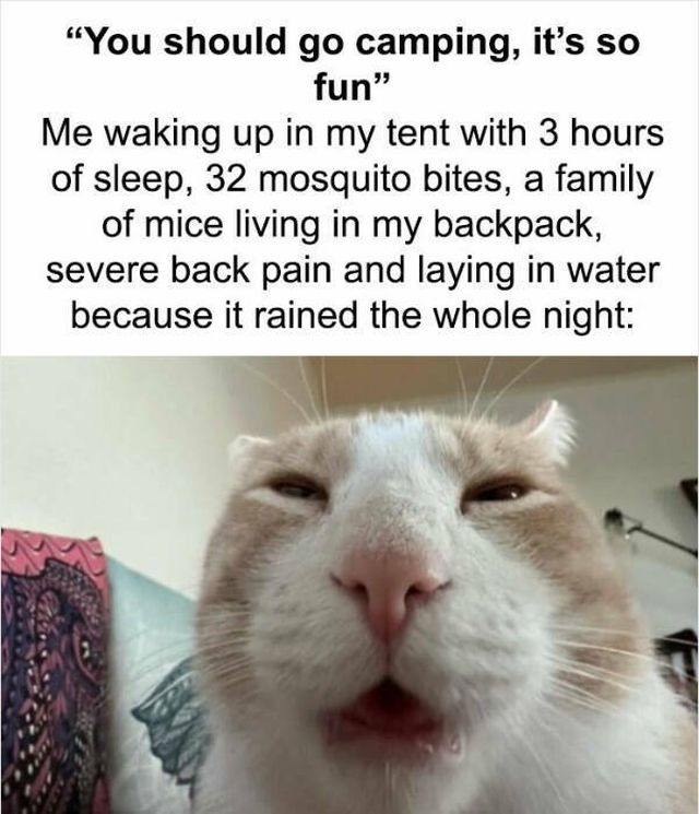 Memes About Traveling (17 pics)