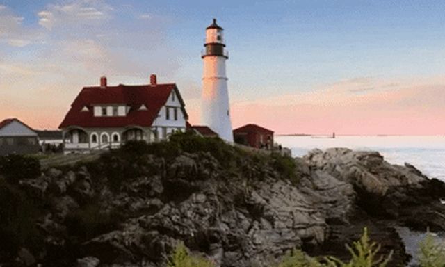 Random Facts (18 gifs)