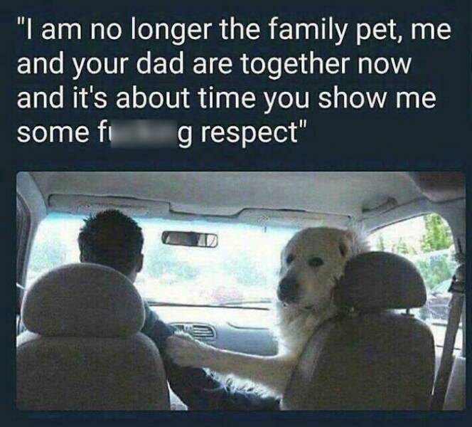 Family Memes (17 pics)