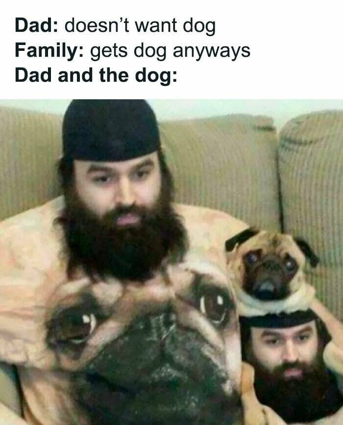 Family Memes (17 pics)