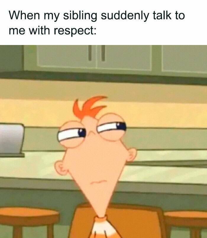 Family Memes (17 pics)