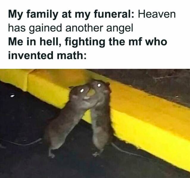 Family Memes (17 pics)