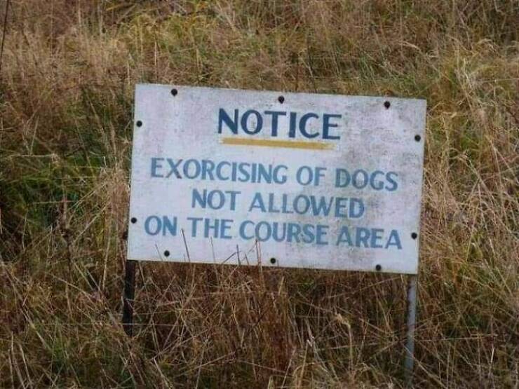 Funny Signs (18 pics)