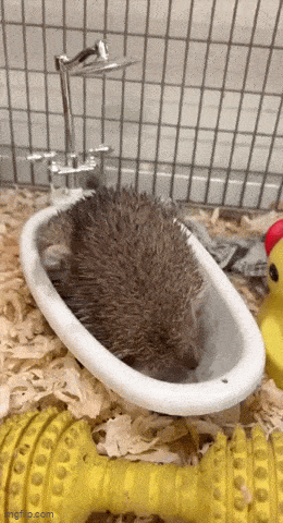 Acid GIFs, July 12 (25 gifs) Acid GIFs, July 12 (25 gifs)
