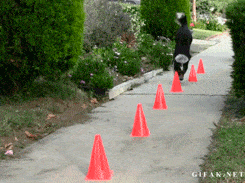 Acid GIFs, July 12 (25 gifs) Acid GIFs, July 12 (25 gifs)