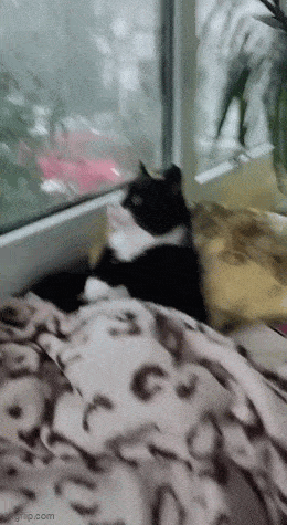Acid GIFs, July 12 (25 gifs) Acid GIFs, July 12 (25 gifs)