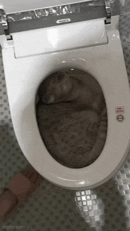 Acid GIFs, July 12 (25 gifs) Acid GIFs, July 12 (25 gifs)