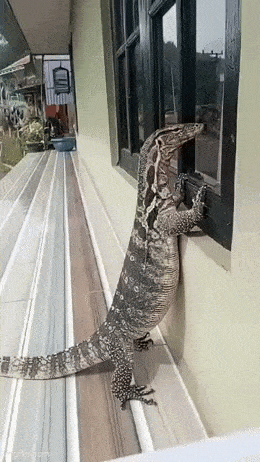 Acid GIFs, July 12 (25 gifs) Acid GIFs, July 12 (25 gifs)