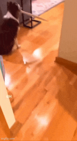 Acid GIFs, July 12 (25 gifs) Acid GIFs, July 12 (25 gifs)