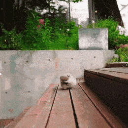 Acid GIFs, July 12 (25 gifs) Acid GIFs, July 12 (25 gifs)