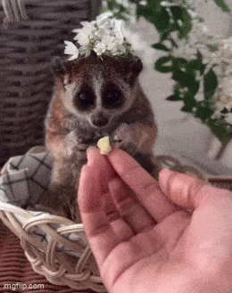 Acid GIFs, July 12 (25 gifs) Acid GIFs, July 12 (25 gifs)