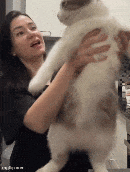 Acid GIFs, July 12 (25 gifs) Acid GIFs, July 12 (25 gifs)
