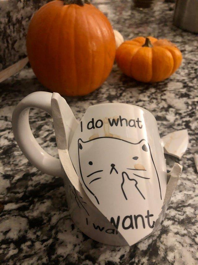 Bad Days Happen (20 pics)