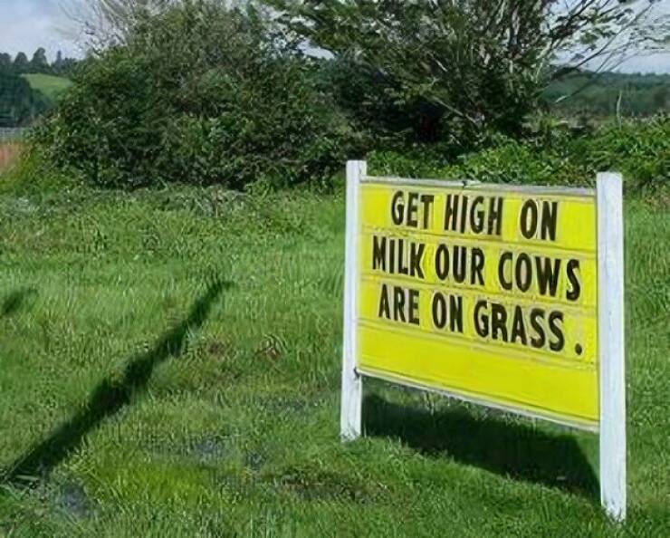 Hilarious Signs (20 pics)