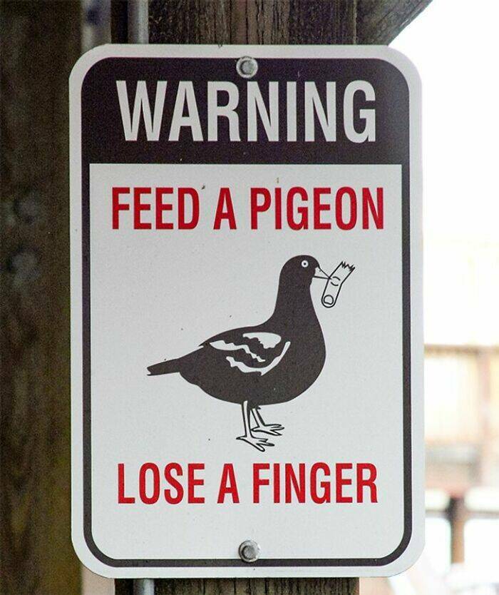 Hilarious Signs (20 pics)