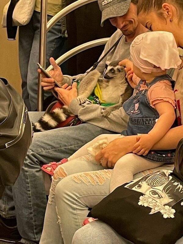 Unexpected Meetings In The Subway (16 pics)