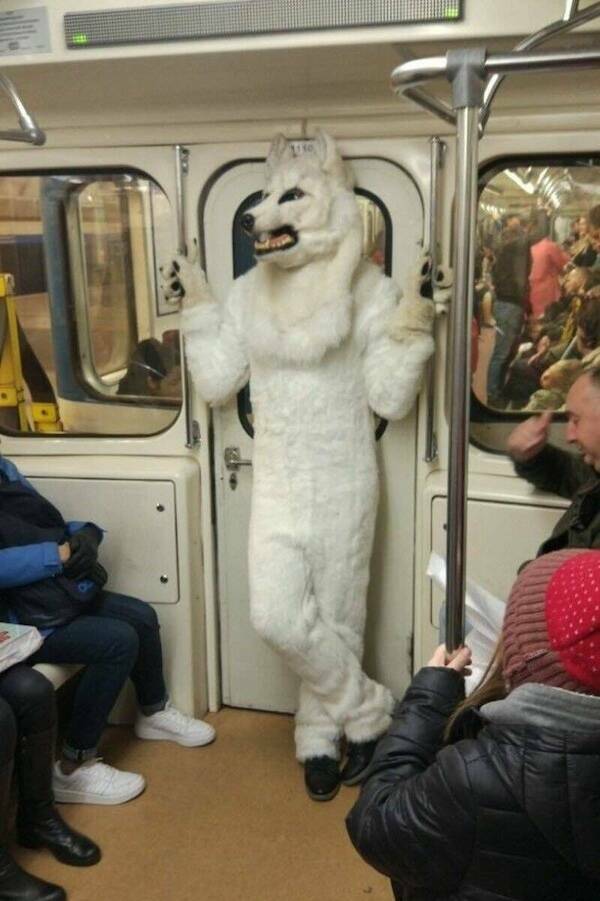 Unexpected Meetings In The Subway (16 pics)