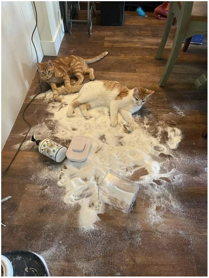 Daily Pictures. Part 1 (56 pics)