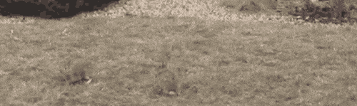 Acid GIFs, July 15 (25 gifs) Acid GIFs, July 15 (25 gifs)