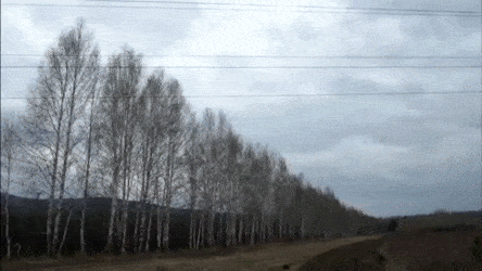 Acid GIFs, July 15 (25 gifs) Acid GIFs, July 15 (25 gifs)