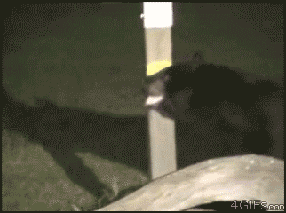 Acid GIFs, July 15 (25 gifs) Acid GIFs, July 15 (25 gifs)