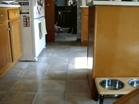 Acid GIFs, July 15 (25 gifs) Acid GIFs, July 15 (25 gifs)